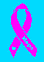 Pink ~Breast CANCER Ribbon,CHARITY Hope,Name,Heart car/van window sticker!!