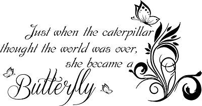 Caterpillar into butterfly.... Wall Art Vinyl Graphic Sticker Wallpaper Decal!!