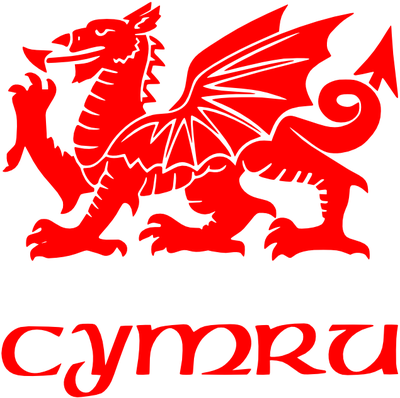 WELSH DRAGON CYMRU STICKER/DECAL Adhesive  FUNNY BUY 2 GET 1 FREE!!