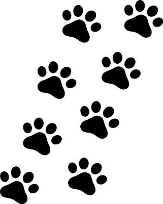 8 Paw Print Stickers/Decals - No Background, Custom Colour Options!