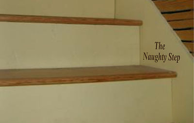The Naughty Step / Time Out / The Thinking Step decal Learning for children!!
