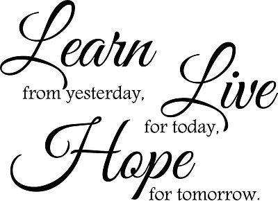 Learn Live Hope...Living room/BedroomWall Art Quote Stickers Wall Decals!!!