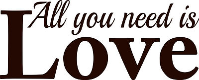 ALL YOU NEED IS LOVE WALL ART/DECAL QUOTE STICKER - BEDROOM/LIVING ROOM!!!!