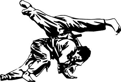 Martial Arts/Fighters/Karate sticker decal bedroom wall art sticker Vinyl/Decal!