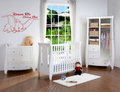 Dumbo Disney Personalised Wall Art Vinyl Graphic Sticker Wallpaper Decal