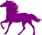 Horse / Horse Riding Wall Art Vinyl Graphic Sticker Wallpaper Decal!!Bedroom