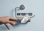 NOW YOUR FU@KED TOILET ROLL Graphic Sticker CAR/VAN/BOX!!! FUNNY/JOKE/FK!!!