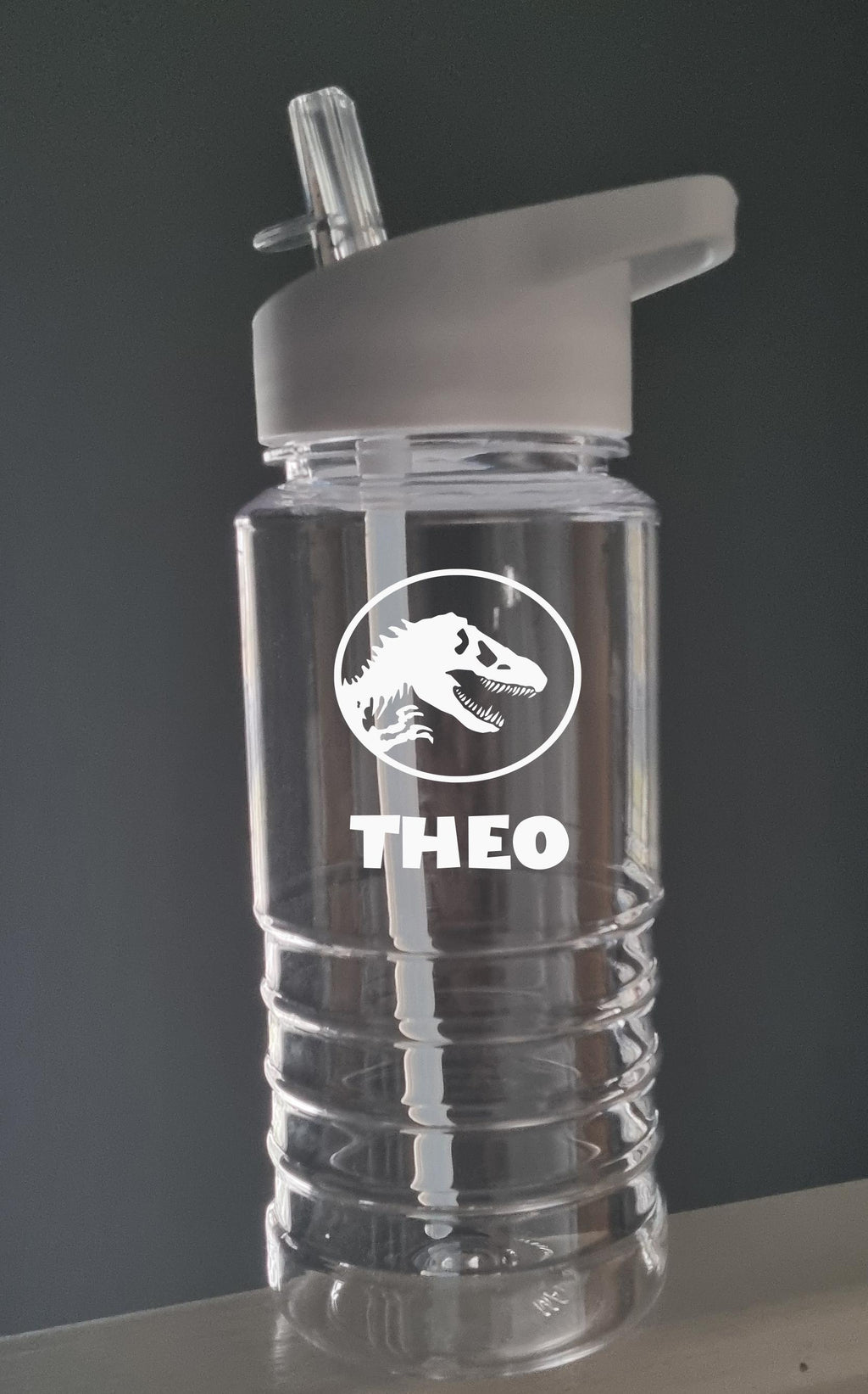 Personalised Dinosaur Water Bottle for Kids – 600ml Swirl Design, Custom Name, Lightweight & Fun