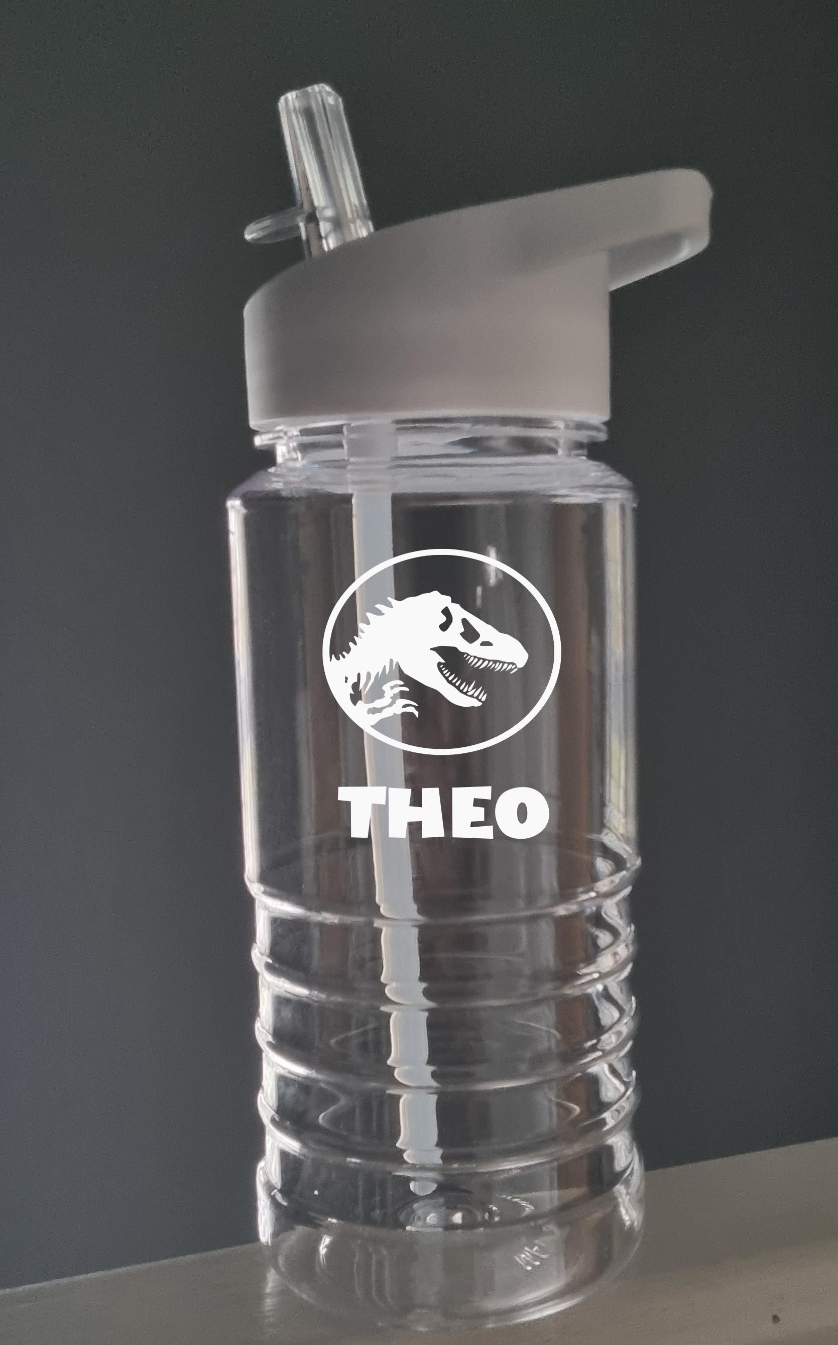 Personalised Dinosaur Water Bottle for Kids – 600ml Swirl Design, Custom Name, Lightweight & Fun