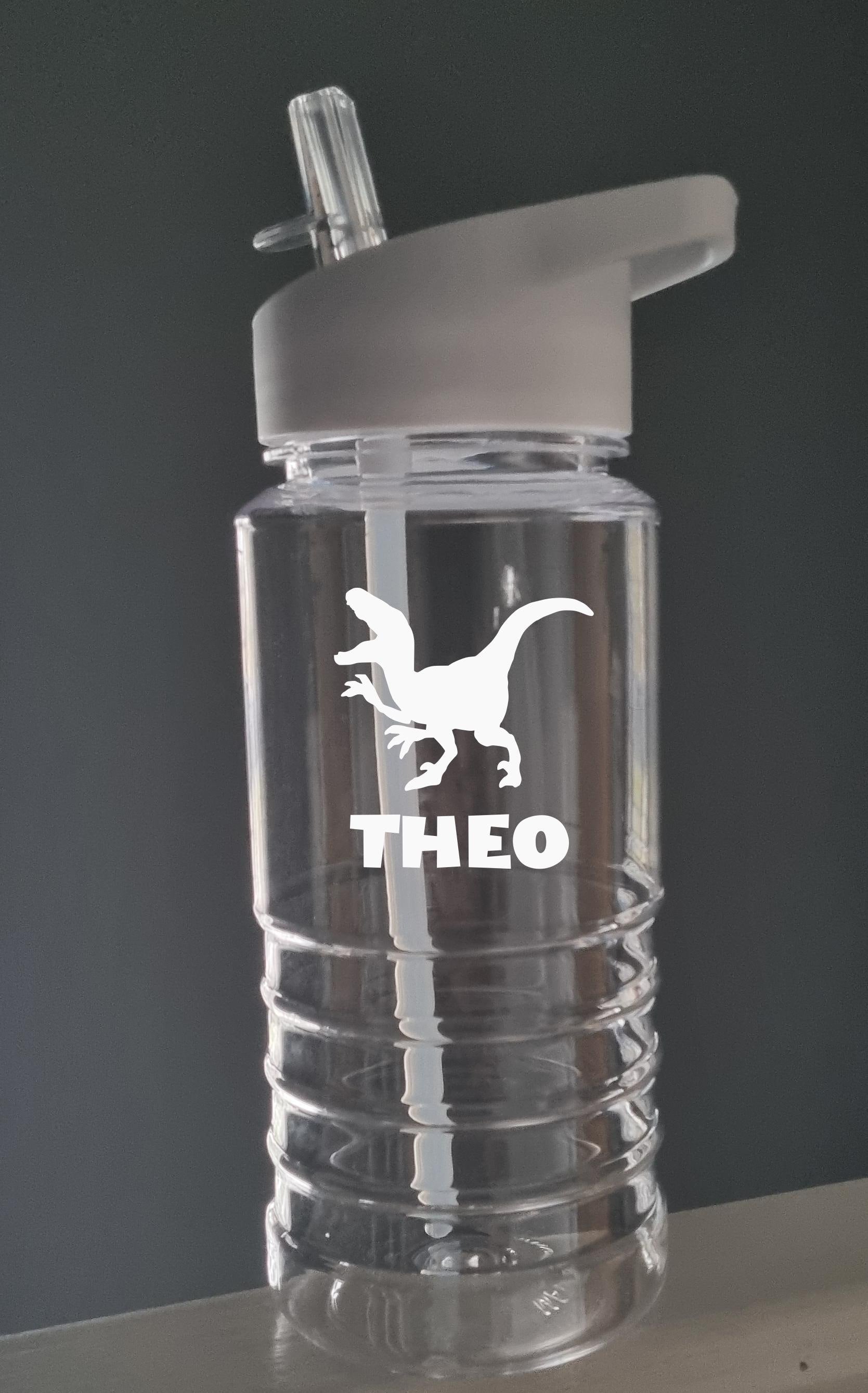 Personalised Dinosaur Water Bottle for Kids – 600ml Swirl Design, Custom Name, Lightweight & Fun