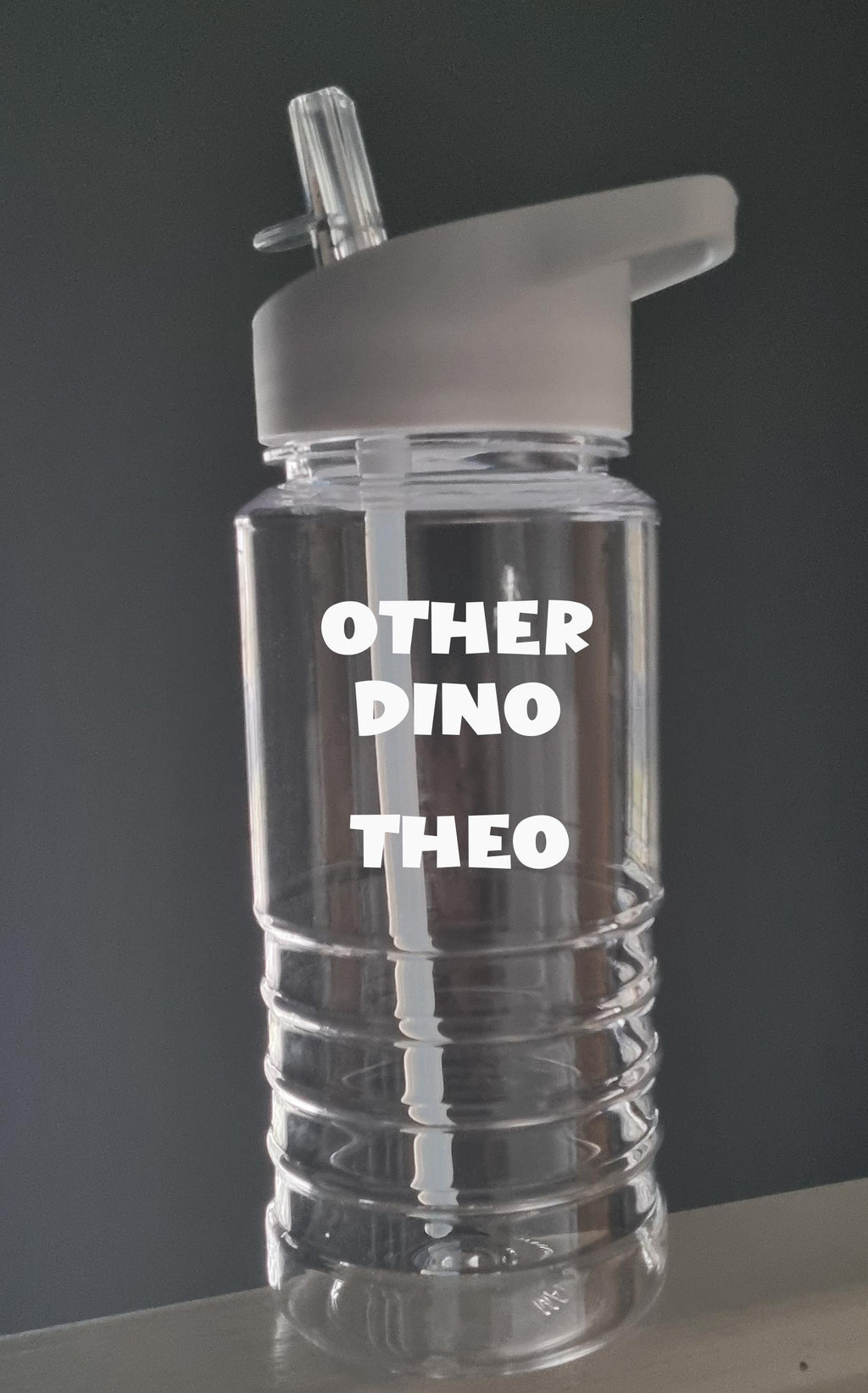 Personalised Dinosaur Water Bottle for Kids – 600ml Swirl Design, Custom Name, Lightweight & Fun