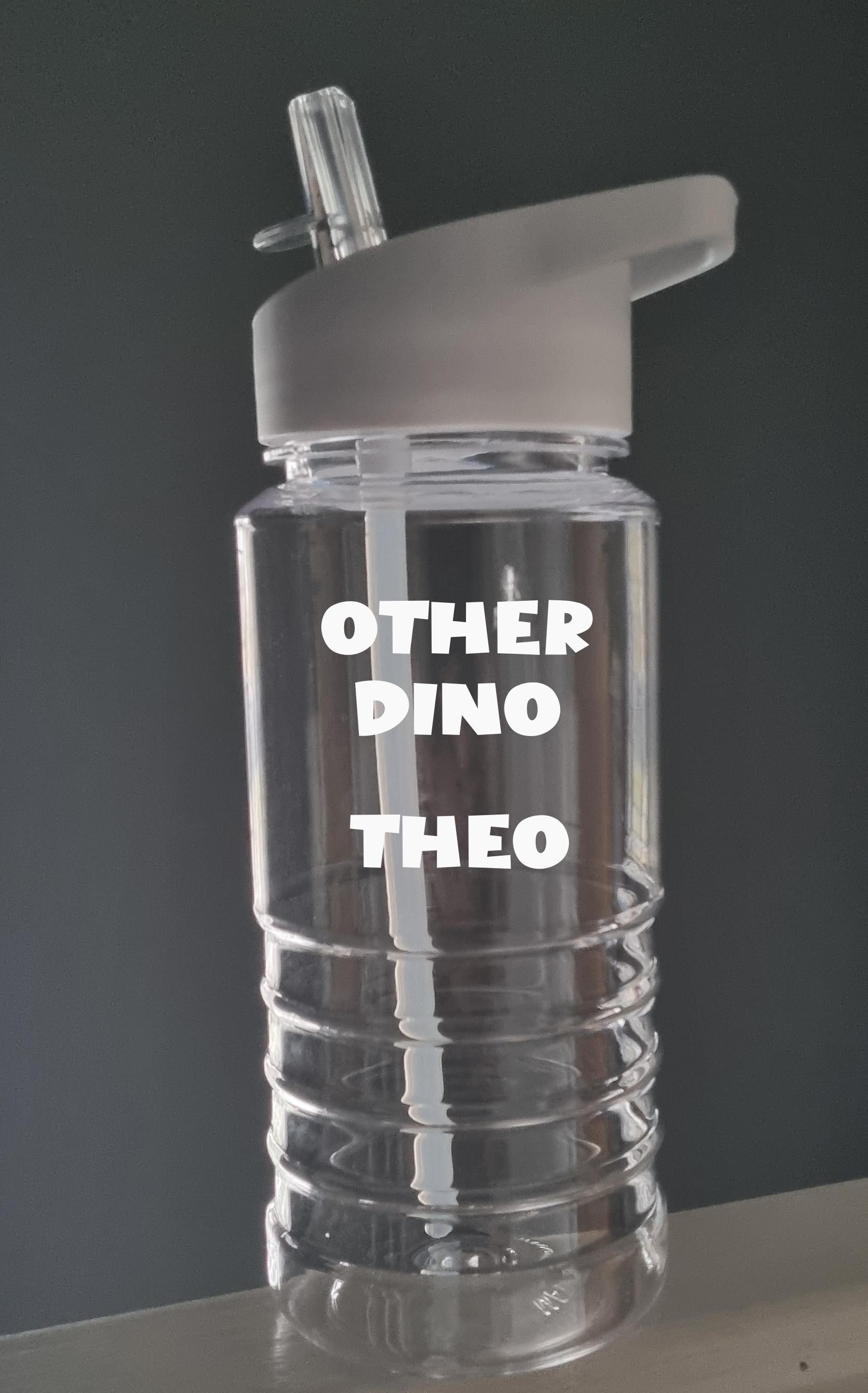Personalised Dinosaur Water Bottle for Kids – 600ml Swirl Design, Custom Name, Lightweight & Fun