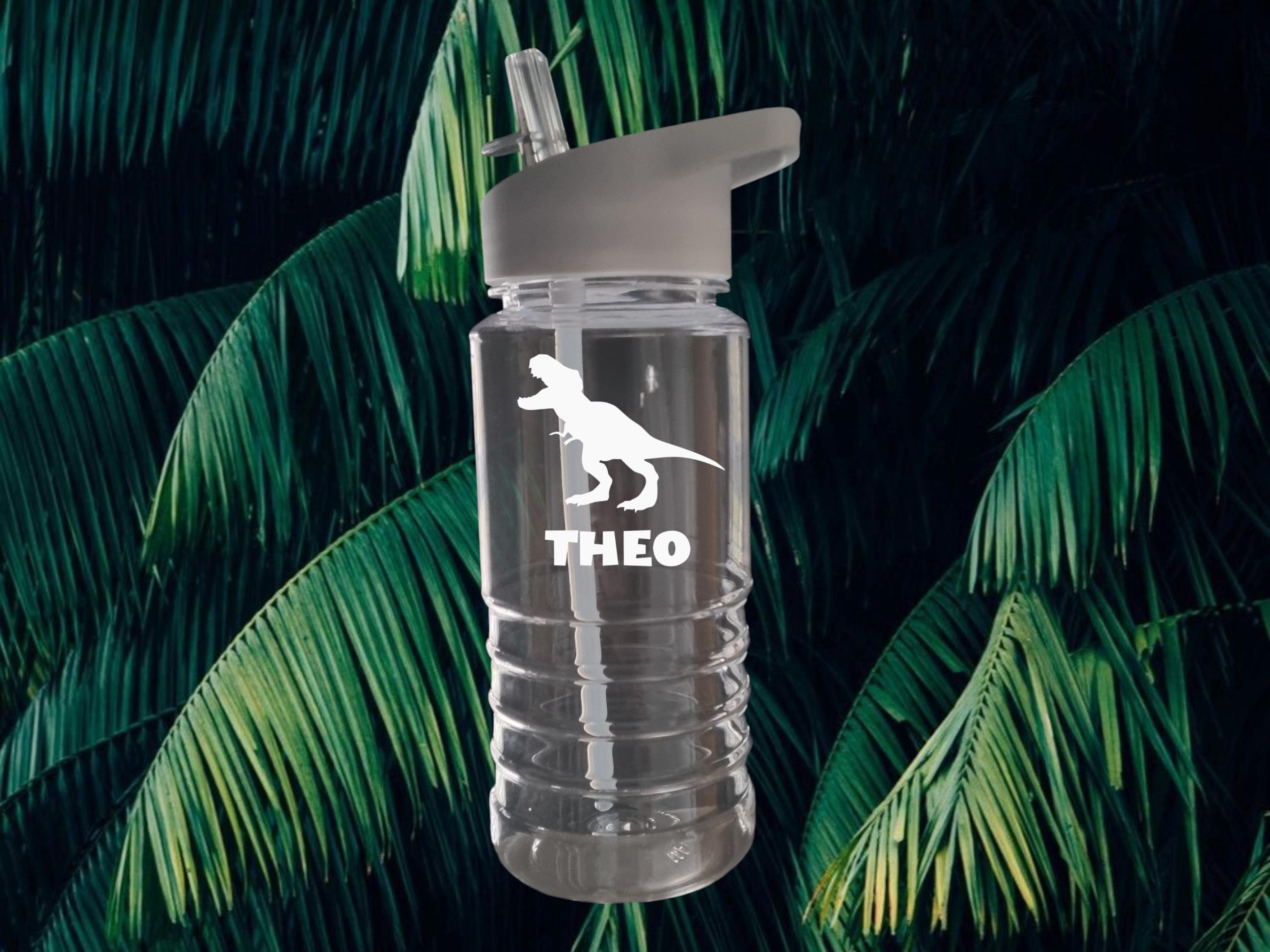 Personalised Dinosaur Water Bottle for Kids – 600ml Swirl Design, Custom Name, Lightweight & Fun