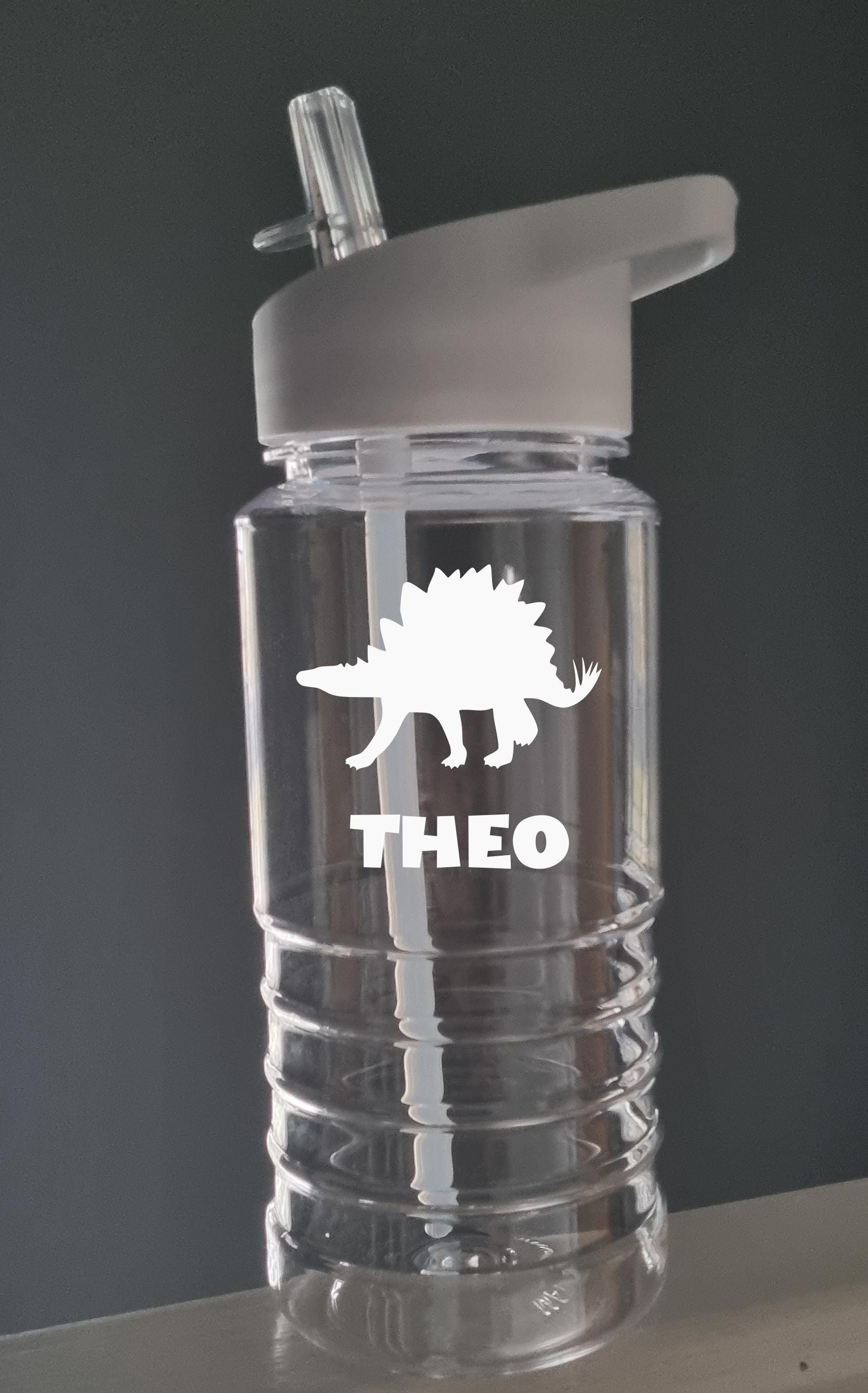 Personalised Dinosaur Water Bottle for Kids – 600ml Swirl Design, Custom Name, Lightweight & Fun