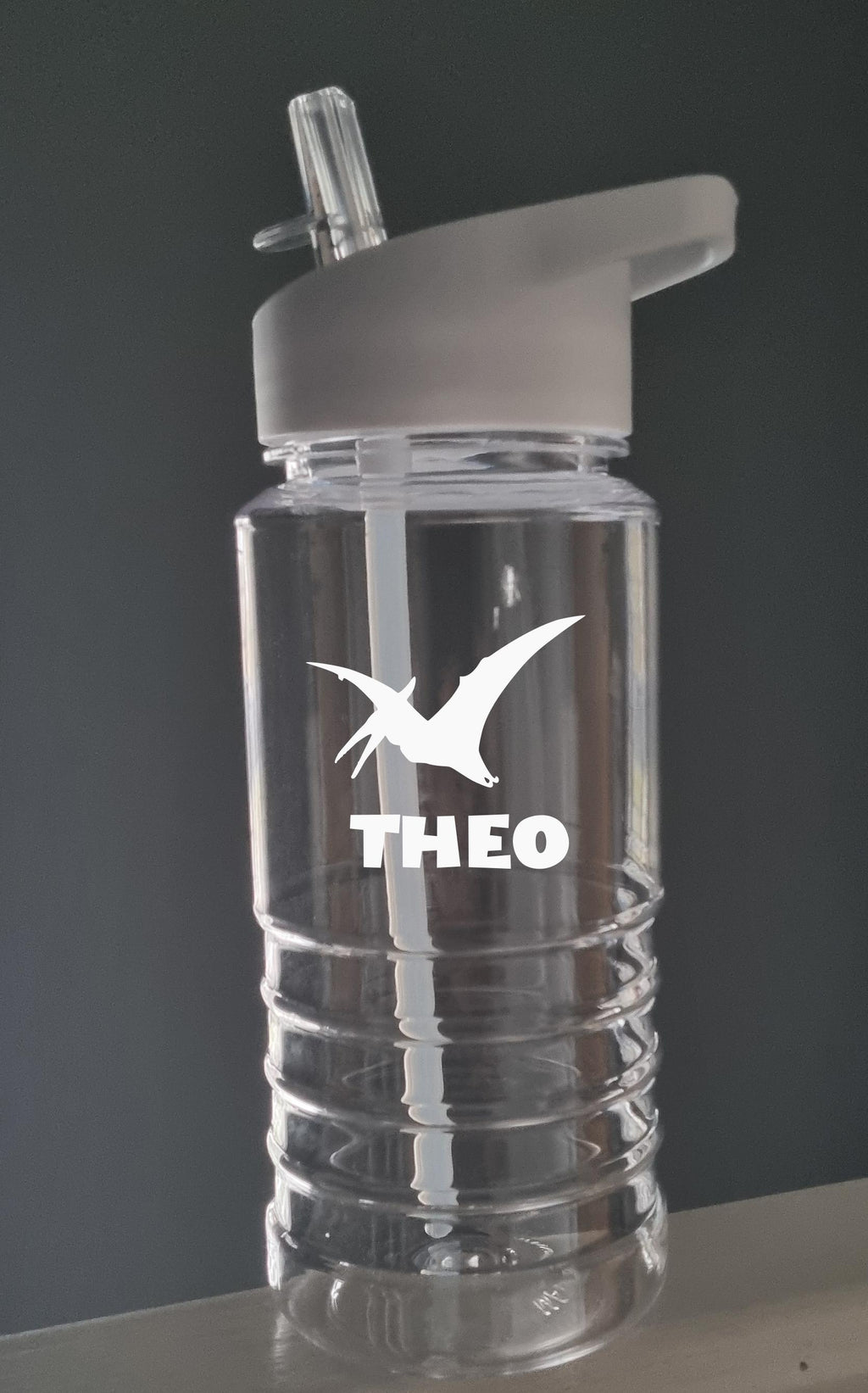 Personalised Dinosaur Water Bottle for Kids – 600ml Swirl Design, Custom Name, Lightweight & Fun