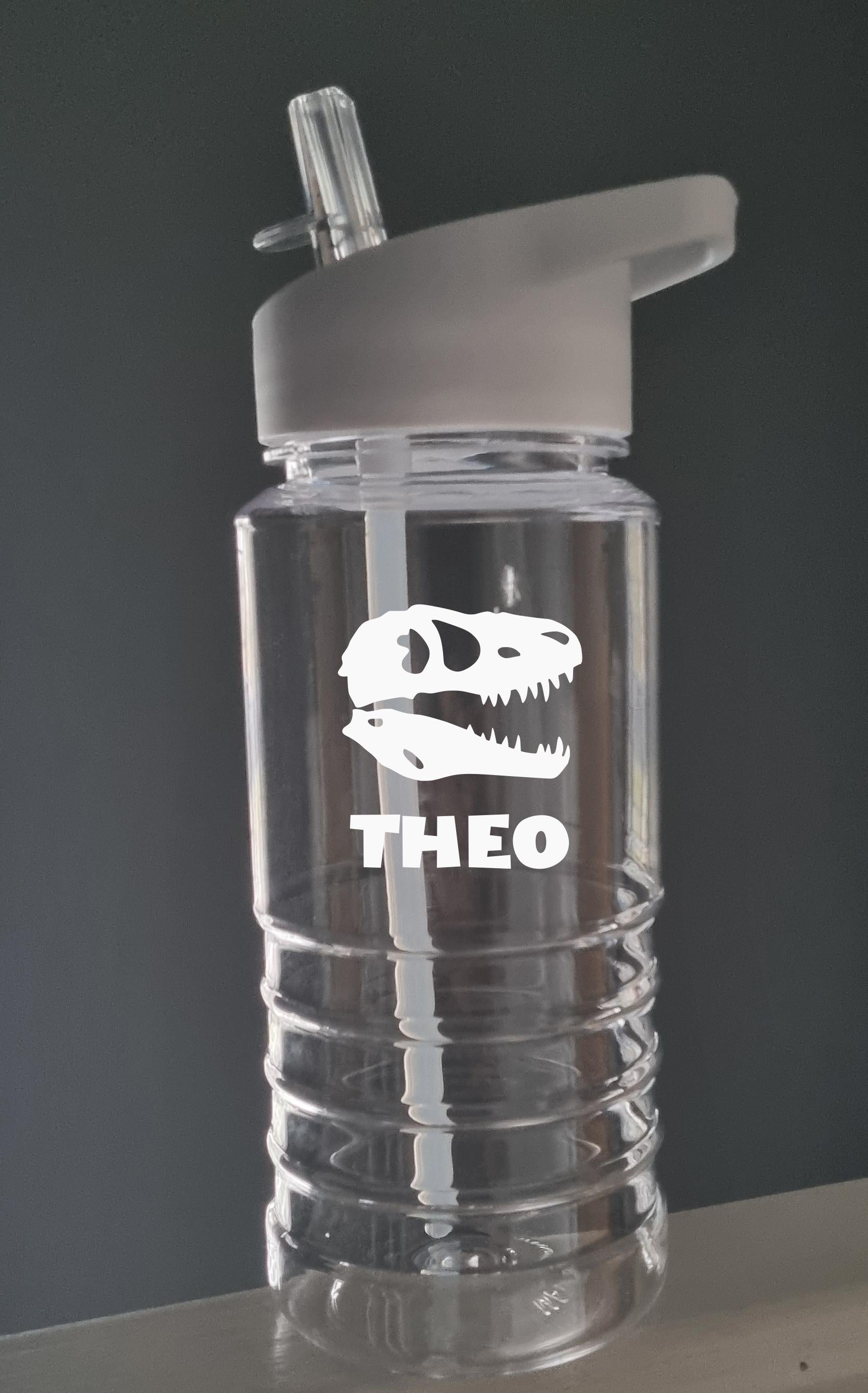 Personalised Dinosaur Water Bottle for Kids – 600ml Swirl Design, Custom Name, Lightweight & Fun