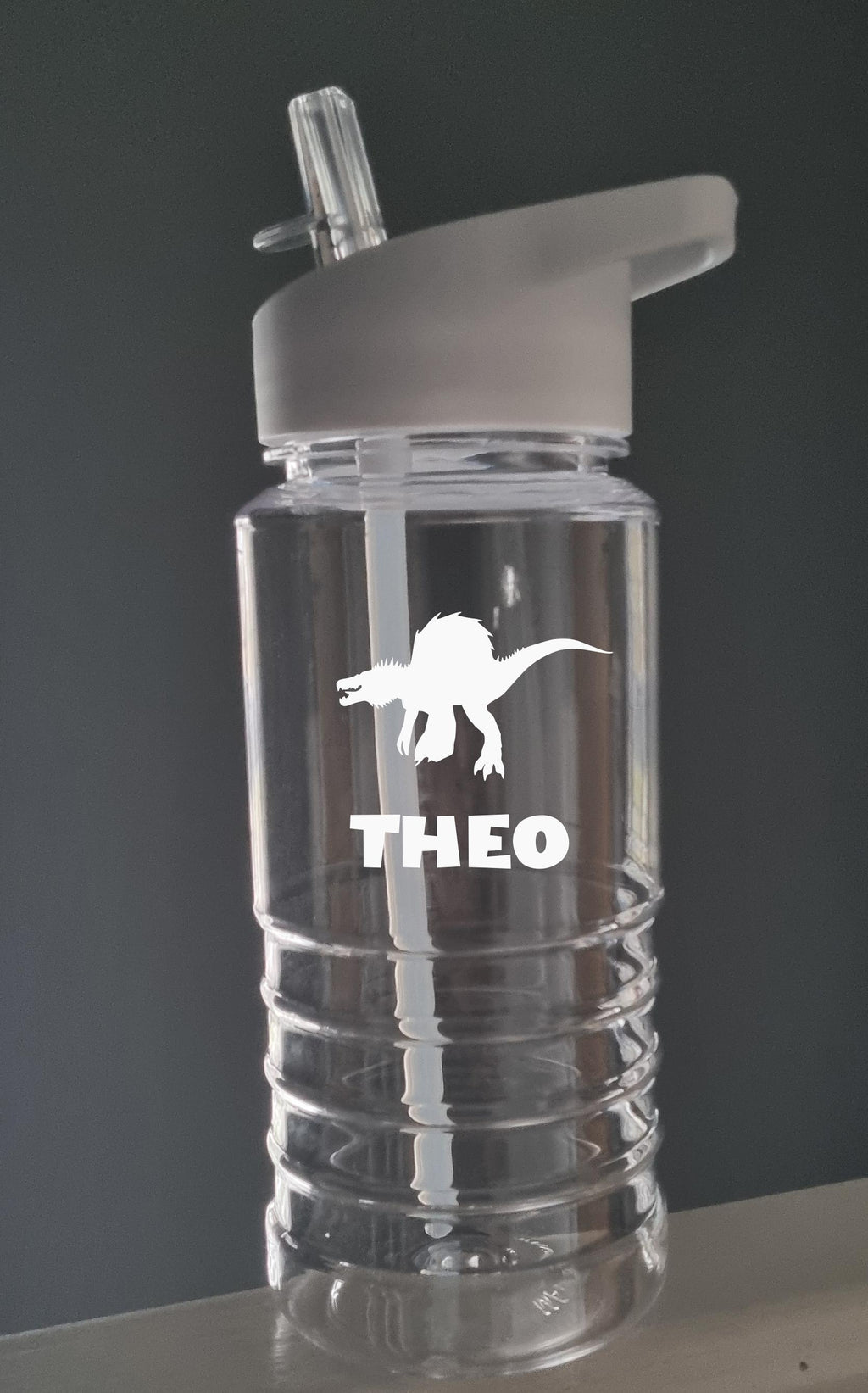 Personalised Dinosaur Water Bottle for Kids – 600ml Swirl Design, Custom Name, Lightweight & Fun
