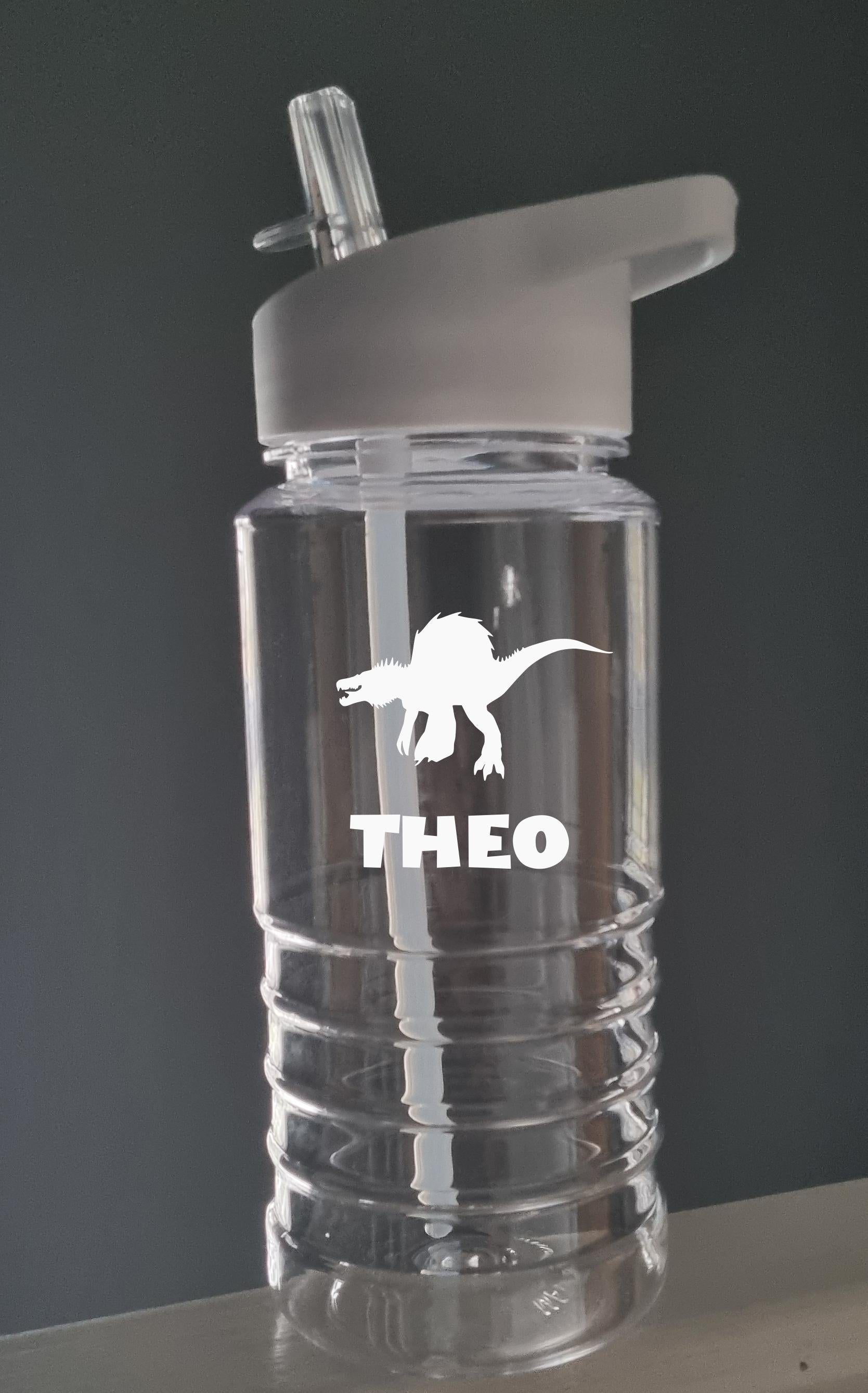 Personalised Dinosaur Water Bottle for Kids – 600ml Swirl Design, Custom Name, Lightweight & Fun